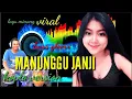Download Lagu dangdut koplo terbaru 2023 manunggu janji lagu Minang terbaru