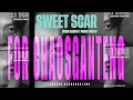 Weird Genius ft. Prince Husein - Sweet Scar (For ChaosGanteng)