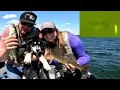 Download Lagu Taking a Puppy Fishing  |  Walleye with Under Water Camera #puppy