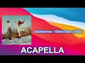 Babehoven - Wave Has a Place (ACAPELLA) Vocals Only