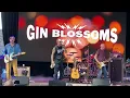 “Allison Road” by Gin Blossoms (Live in Central Park)