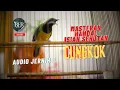 Lagu MASTERAN CUCAK CUNGKOK ISIAN SEHUTAN ❗️DIJAMIN SUPER MEWAH