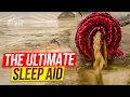 6-Hour ASMR Rug Cleaning Marathon Relax and Sleep to Satisfying Deep Cleans