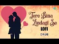 Lagu Tere Bina Zindagi Se - LoFi | Hindi Cover Song | Drub | Saregama Open Stage
