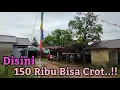 Download Lagu Perjalanan Singkawang - Jelutung Sambas || Singgah Ke Lokalisasi Pelacuran Di Pemangkat