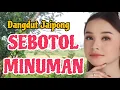 Download Lagu CAMPURSARI DANGDUT KOPLO SEBOTOL MINUMAN FULL BASS @SragentinoChannel