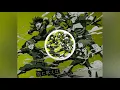 Download Lagu amazarashi - Sora ni Utaeba『Boku no Hero Academia Season 2 OP』[MV]