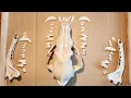 Reconstruction Analysis Of A Coyote Skull Part 1 To
