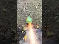 Mr turtle firework