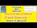 Session 12 Java Instance variable part 1 for Selenium In Telugu By Mr Hanumanth