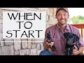 Is Your Dog Ready To Start Collar Conditioning