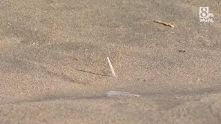 Maryland beaches close after medical waste washes up