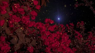 يا جمالك   حصري كارمن سليمان      دندنها