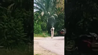 رمي نص اخمس روسي داير    دندنها