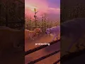 Can A T-Rex Be Your Pet