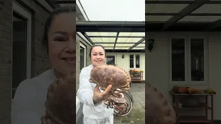 ปูขนมปังเอามาทำเมนูที้ไม่ได้กินมา 30 ปีค่ะ⁉️คลิปนี้ดูเพลินไปไปนะ