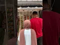 Download Lagu Punya penghasilan 1 juta perhari setelah buka usaha warmindo dari youneedmie