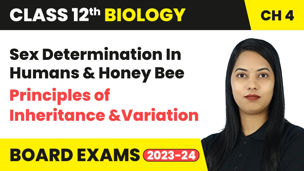 Sex Determination In Humans & Honey Bee | Class 12 Biology Chapter 4