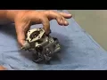 Kohler carb rebuild