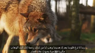 ربنا لا تزغ قلوبنا بعد إذ هديتنا وهب لنا من لدنك رحمة إنك أنت الوهاب مكررة 50 مرة بصوت علاء قصار 
