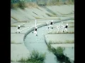 二十還好 - Kolor