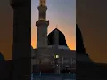 Download Lagu Hamada Helal - Mohamed Nabina | حمادة هلال - محمد نبيناYouTube ·