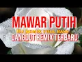 Lagu Dj mawar putih,,  dangdut remix full bass