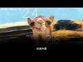 【繁中字】빈지노 / Beenzino - Boogie On & On