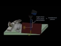 Hydrostatic Pressure - Medical Applications Fluid Mechanics