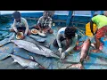 Download Lagu Grate‼️ The Sixteenth Day We Stay In The Deep Sea 🤩Catch,Clean,Cook: The Ultimate Seafood Adventure💢