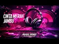 Download Lagu DJ REMIX CINTA MERAH JAMBU