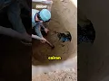 Download Lagu Pria Ini Mendadak Kaya Raya 🤑