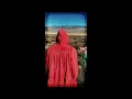 Camille - Le Voyage (Visualizer)