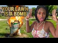 The Toxic Truth About Lawn Fertilizer Engineer Explains