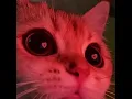 Download Lagu me gustas tu (sped up)