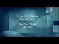 Gopher Wood Guitar - G420CE / Sound Test