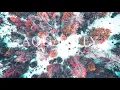 Reekado Banks - Rora