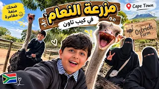 مزرعة النعام رحلة ضحك ووناسة🤭 من فلوقات السفر الى جنوب افريقيا🇿🇦ج٢