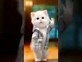 Download Lagu aa pacha pacha song///cute cat dance