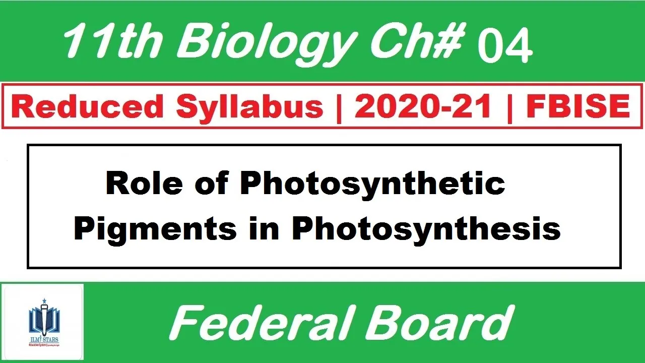 Lecture-2 | Role of Photosynthetic Pigments in Photosynthesis Ch.4 | Bioenergetics | 11 Bio
