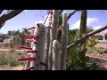 Best Places to Retire Discover Green Valley AZ 55 Communities Courtney Seely ADTV