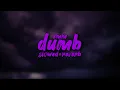 Download Lagu dumb  - emm || slowed + reverb