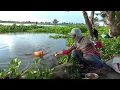 Download Lagu Mancing ikan mas liar disungai dapat sebesar ini