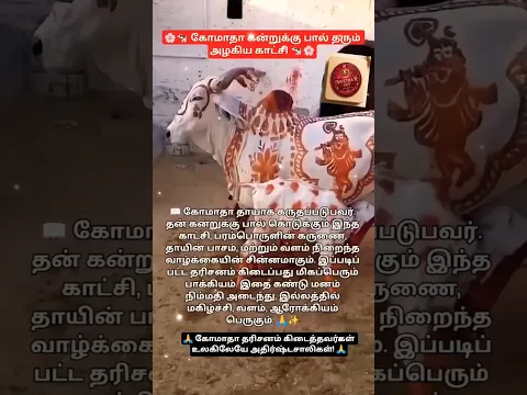 அதிர்ஷ்டத்தை அள்ளி தரும் கோமாதா தரிசனம் பார்த்ததும் பகிரவும்🙏#shorts#devotional#shortsfeed#trending