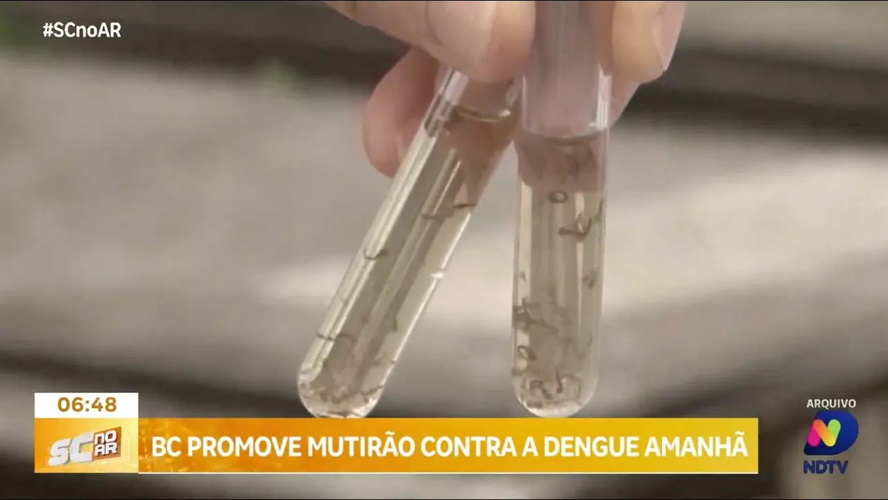 Balneário Camboriú realiza primeiro mutirão do ano no combate à dengue