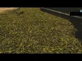 Volume ground grass texture CryEngine 5 7