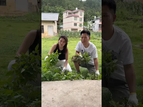 The Brother's Trick Was Even Better Than His Sister's