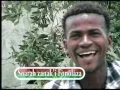 SOARA FORA ZAZA