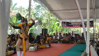 Kesayangan Diajeng Ningrum - Ndolalak Dadi Lestari Live Dadirejo Bagelen
