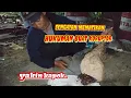 Download Lagu AMBIL SARANG TAWON DI SEMAK-SEMAK BUAT PARA KORUPTOR 